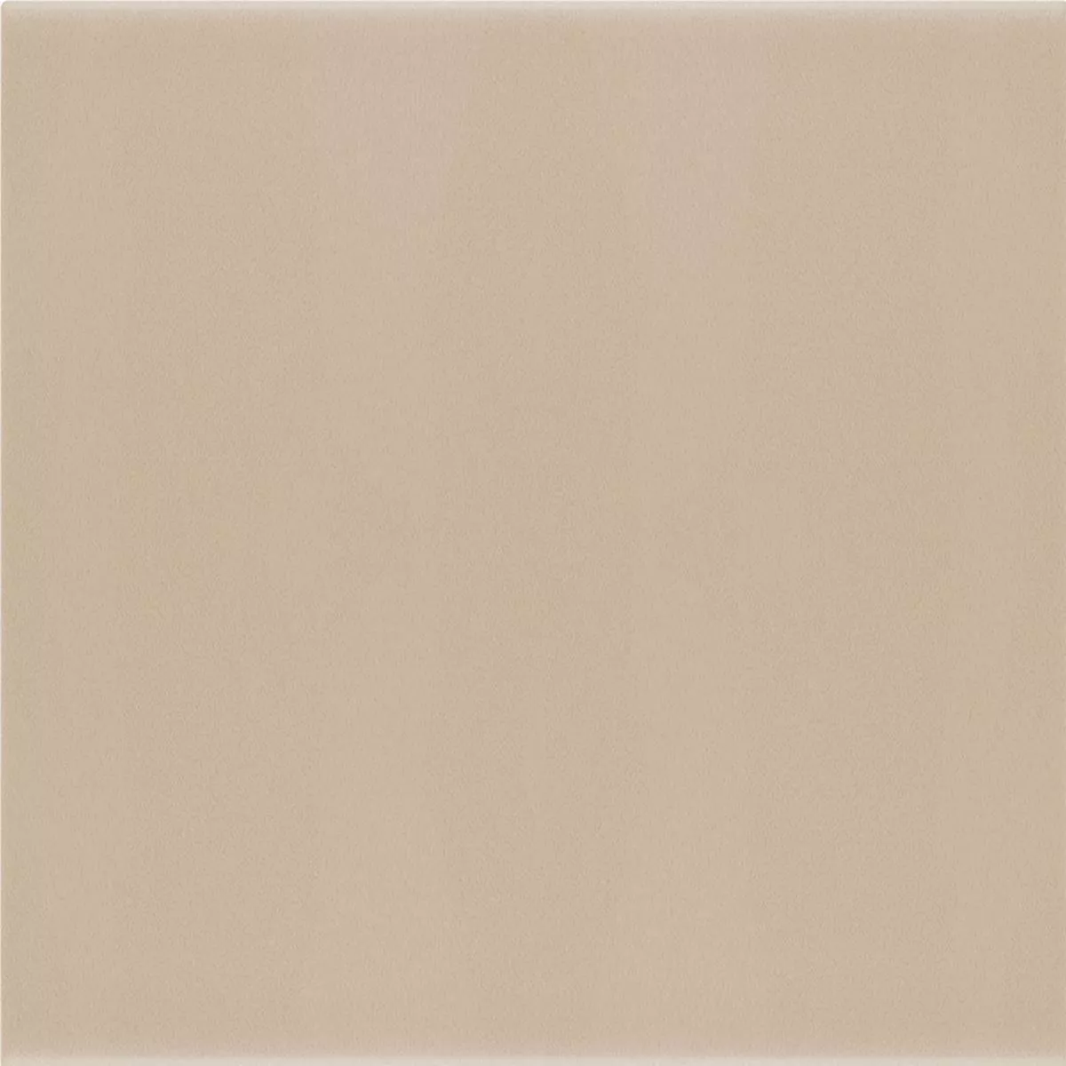 Wandtegels Belluno Pastell Taupe 12,4x12,4cm Wandtegels Belluno Pastell Taupe 12,4x12,4cm