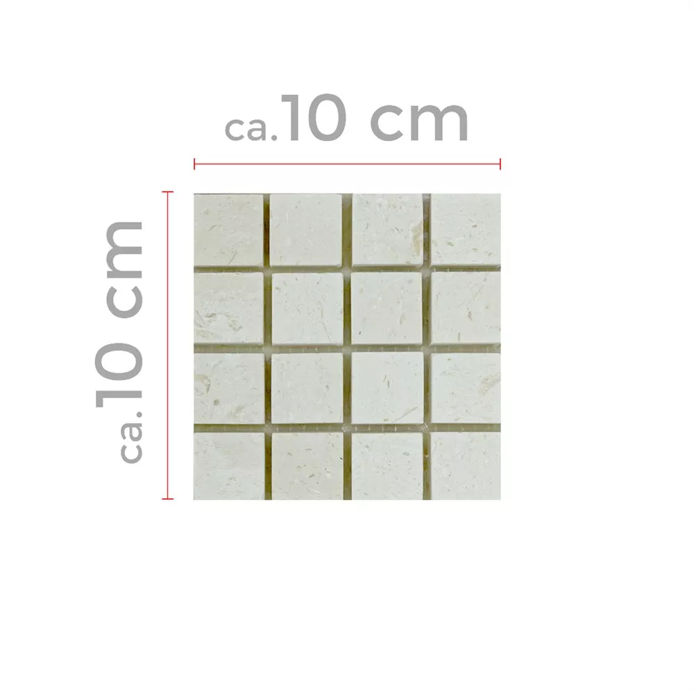 Échantillon Natural Mosaïques Pierre Calcaire Luminares 23 Échantillon Natural Mosaïques Pierre Calcaire Luminares 23