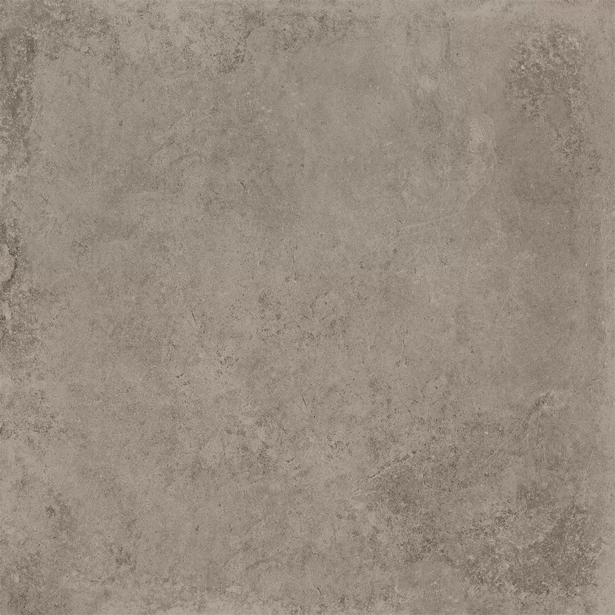 Échantillon Carrelage Sol Et Mur Colossus Taupe 60x60cm