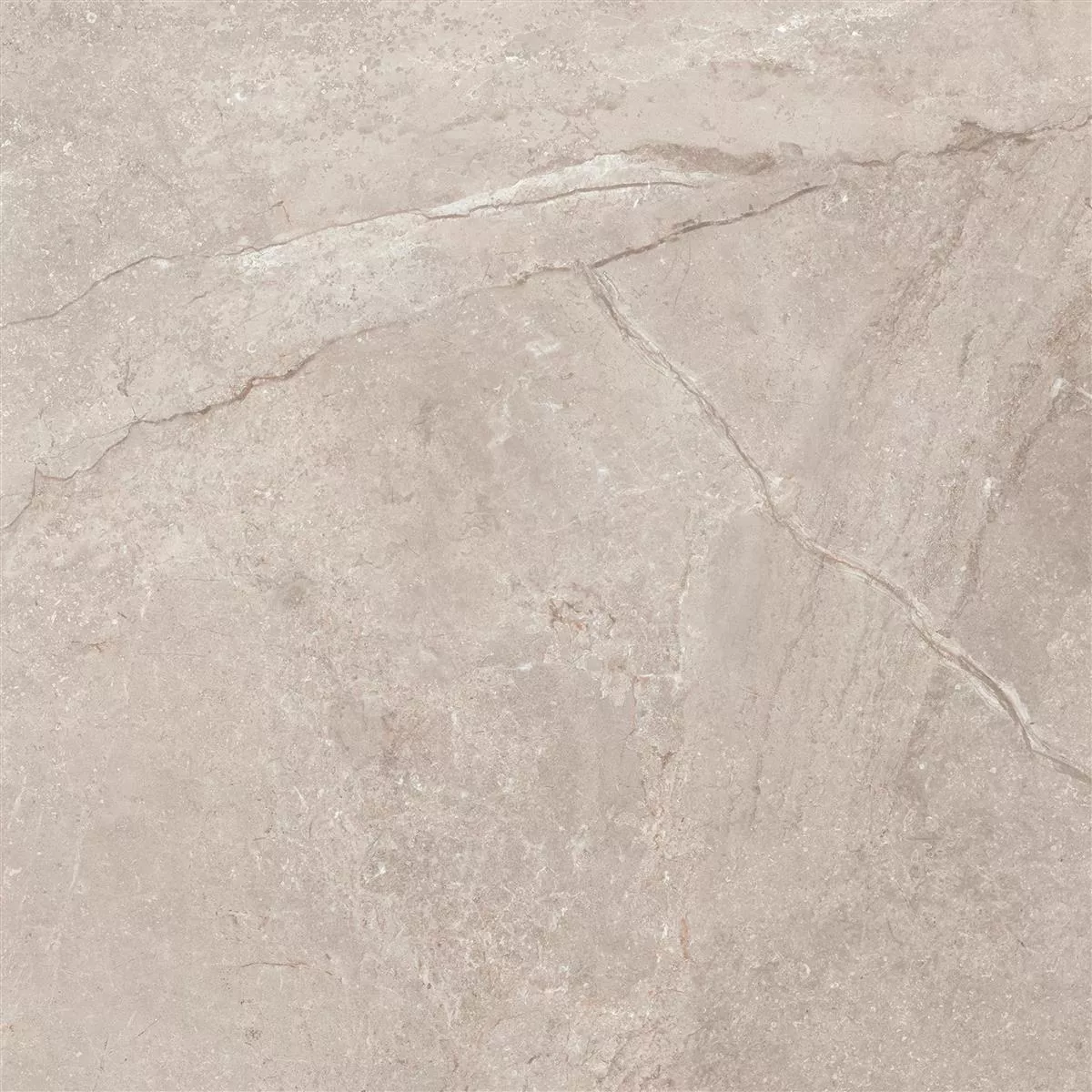 Échantillon Carrelage Sol Et Mur Pangea Marbre Optique Mat Beige 120x120cm