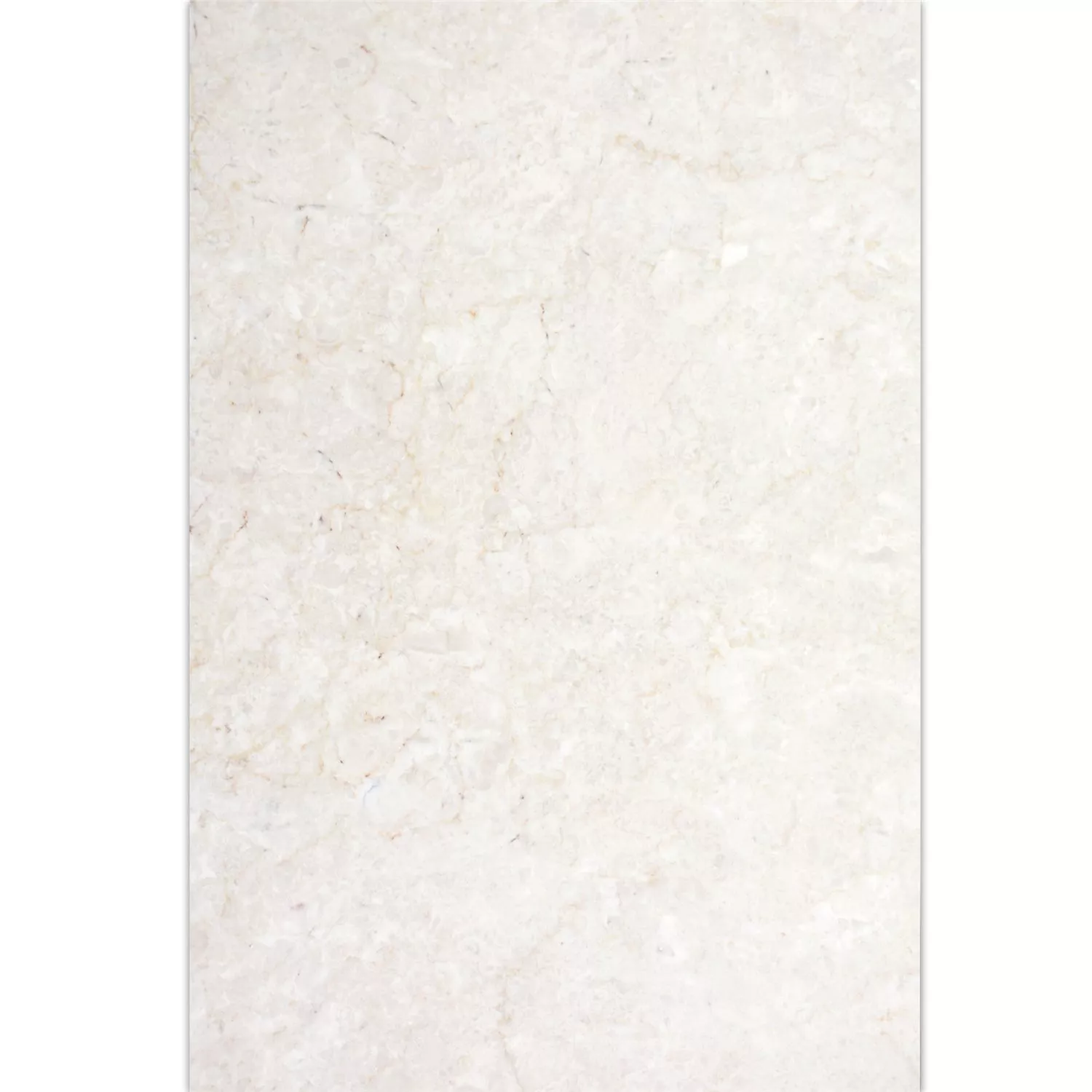 Natursteentegels Marmer Afyon Beige 40,6x61cm