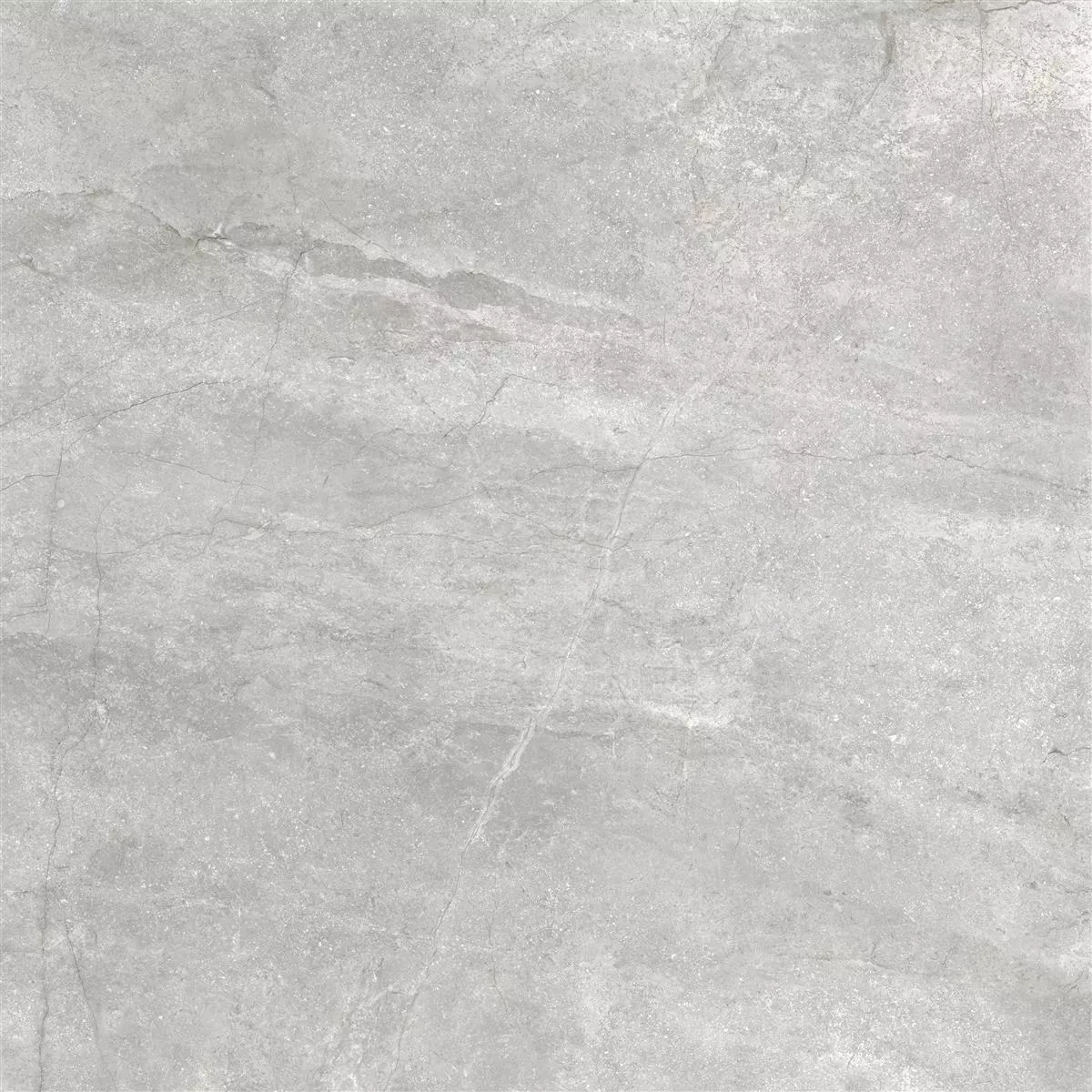 Vloertegels Pangea Marmerlook Mat Zilver 60x60cm