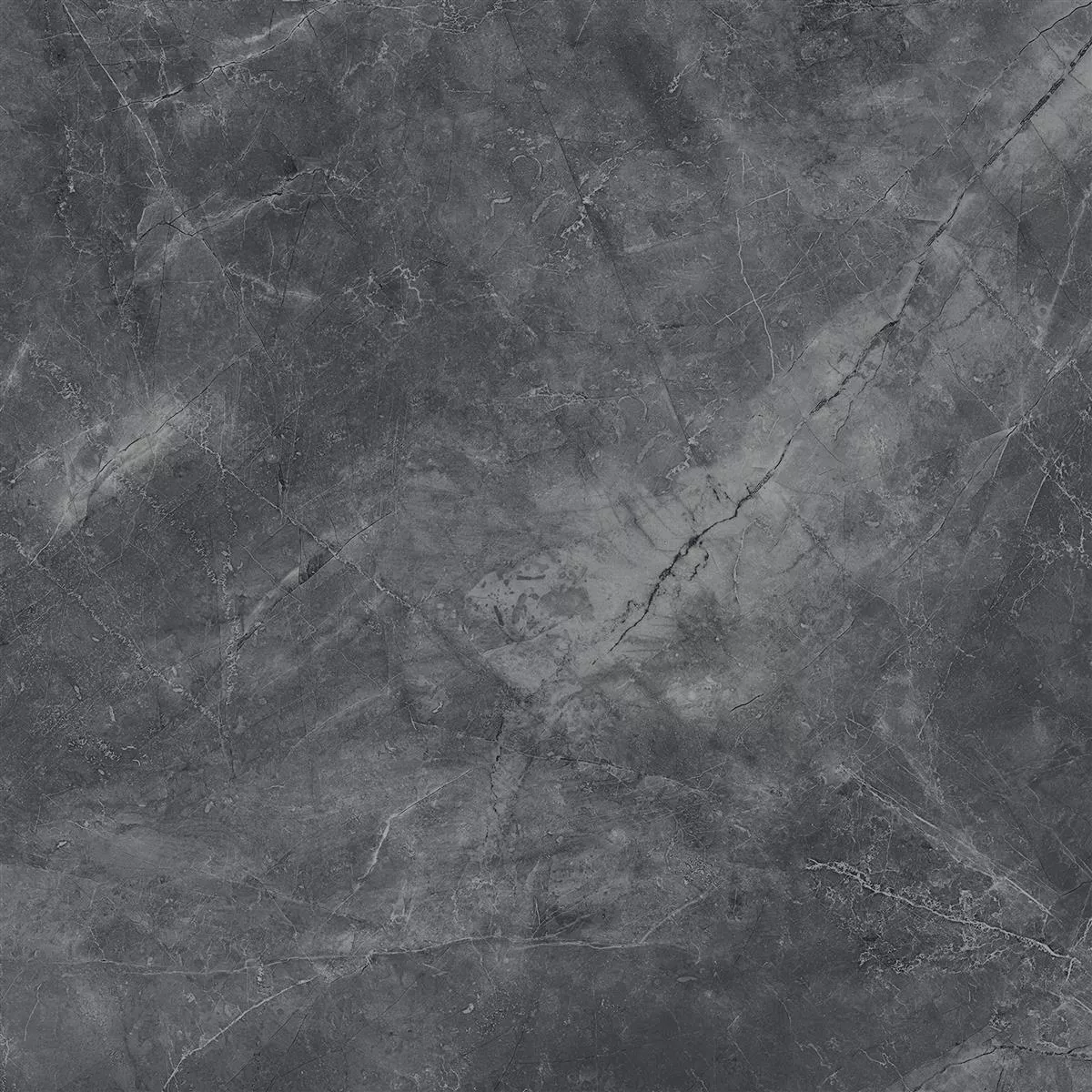 Angola Poli Brillant Noir 60x60 cm