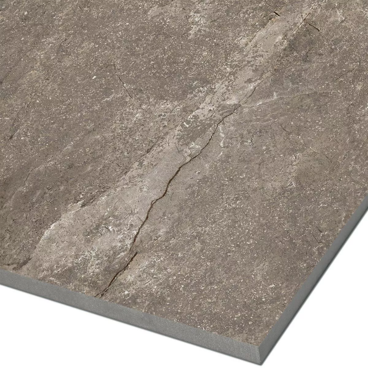 Vloertegels Pangea Marmerlook Glanzend Mokka 60x60cm