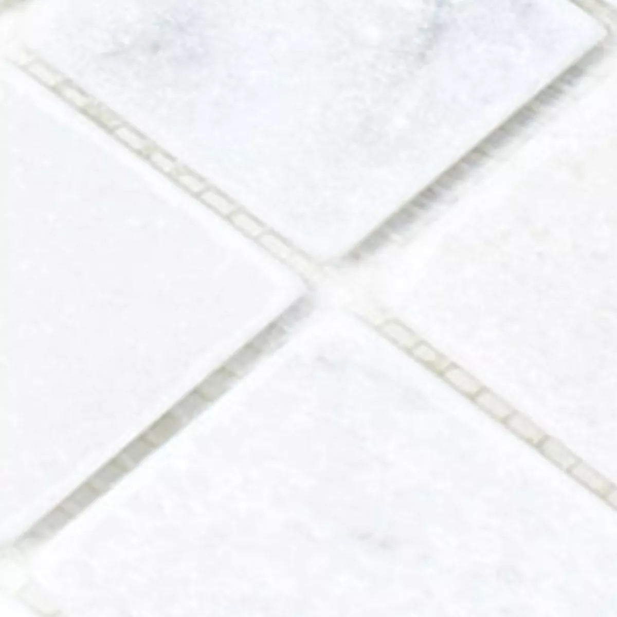 Échantillon Mosaïque Carrelage Marbre Treviso Blanc 48