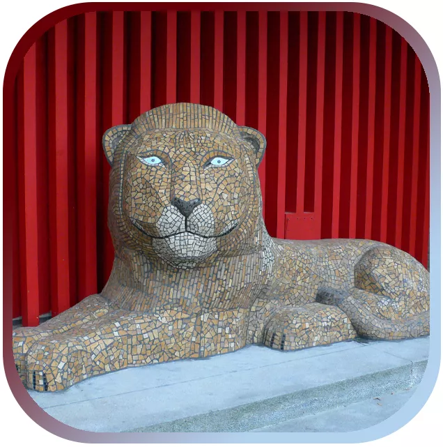 Leeuwenproject voor kinderen Leeuwenproject voor kinderen