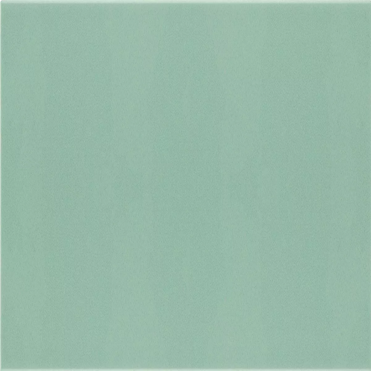 Carrelage Mural Belluno Pastell Vert 12,4x12,4cm