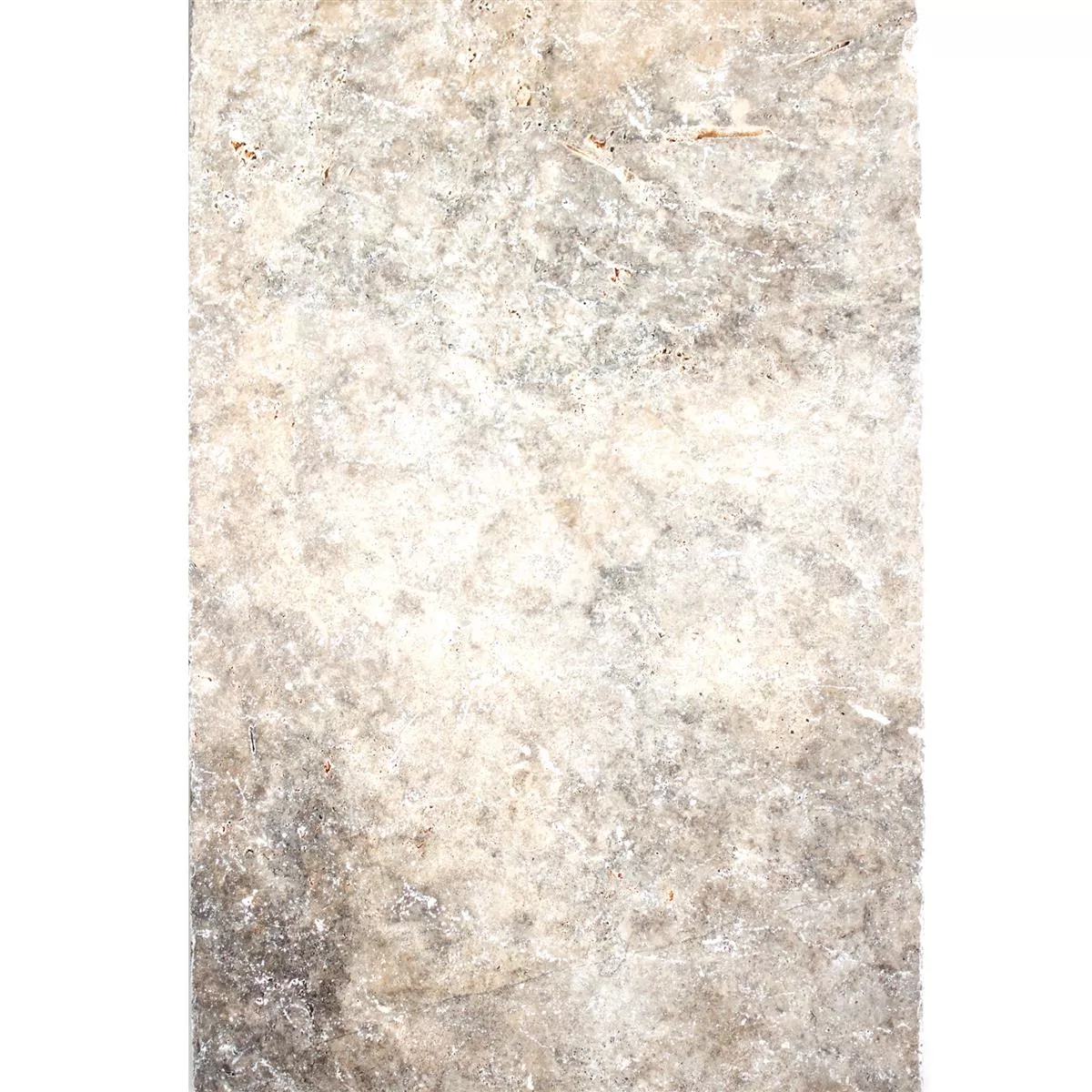 Natursteentegels Travertin Nestor Zilver 40,6x60cm