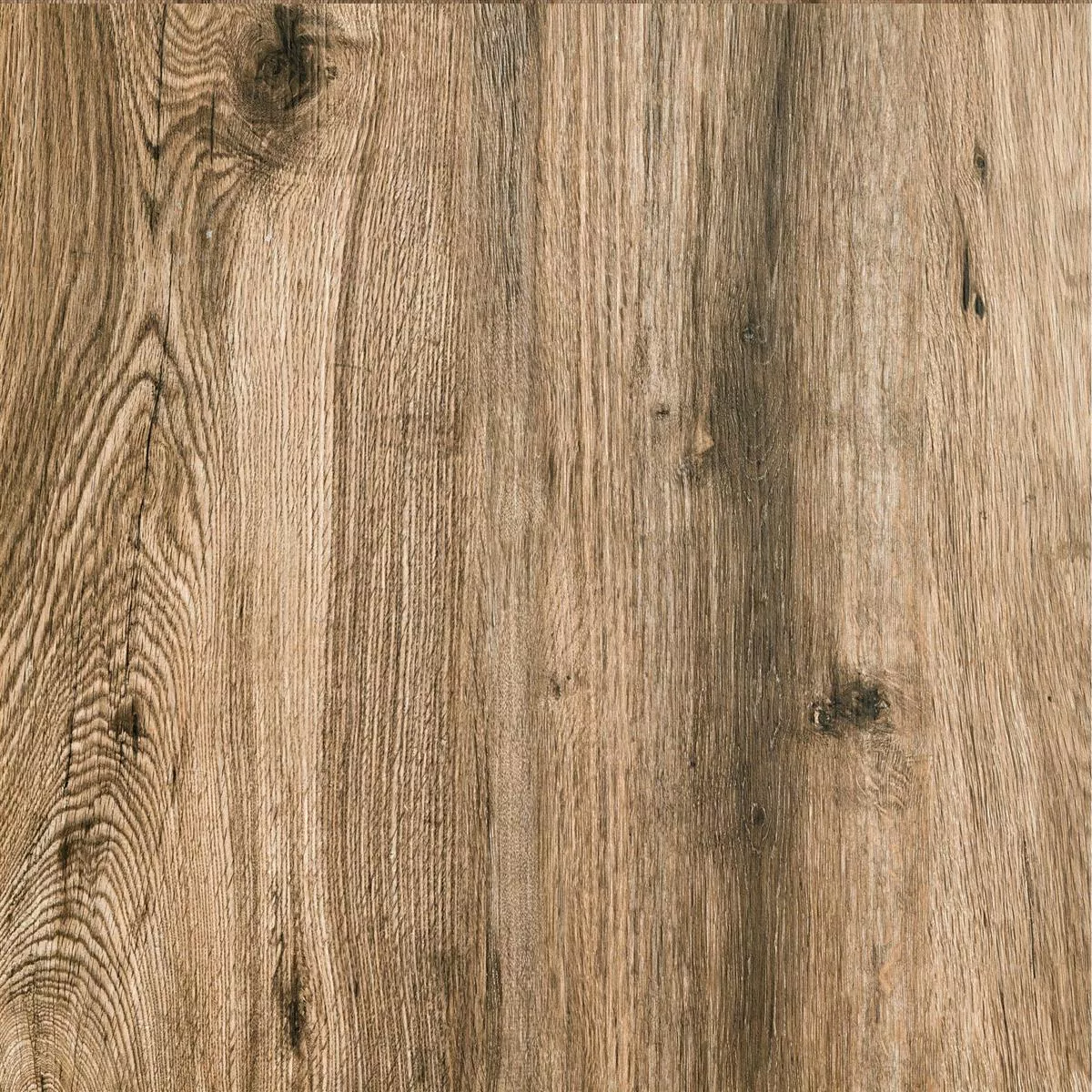 Échantillon Dalles De Terrasse Starwood Imitation Bois Oak 60x60cm