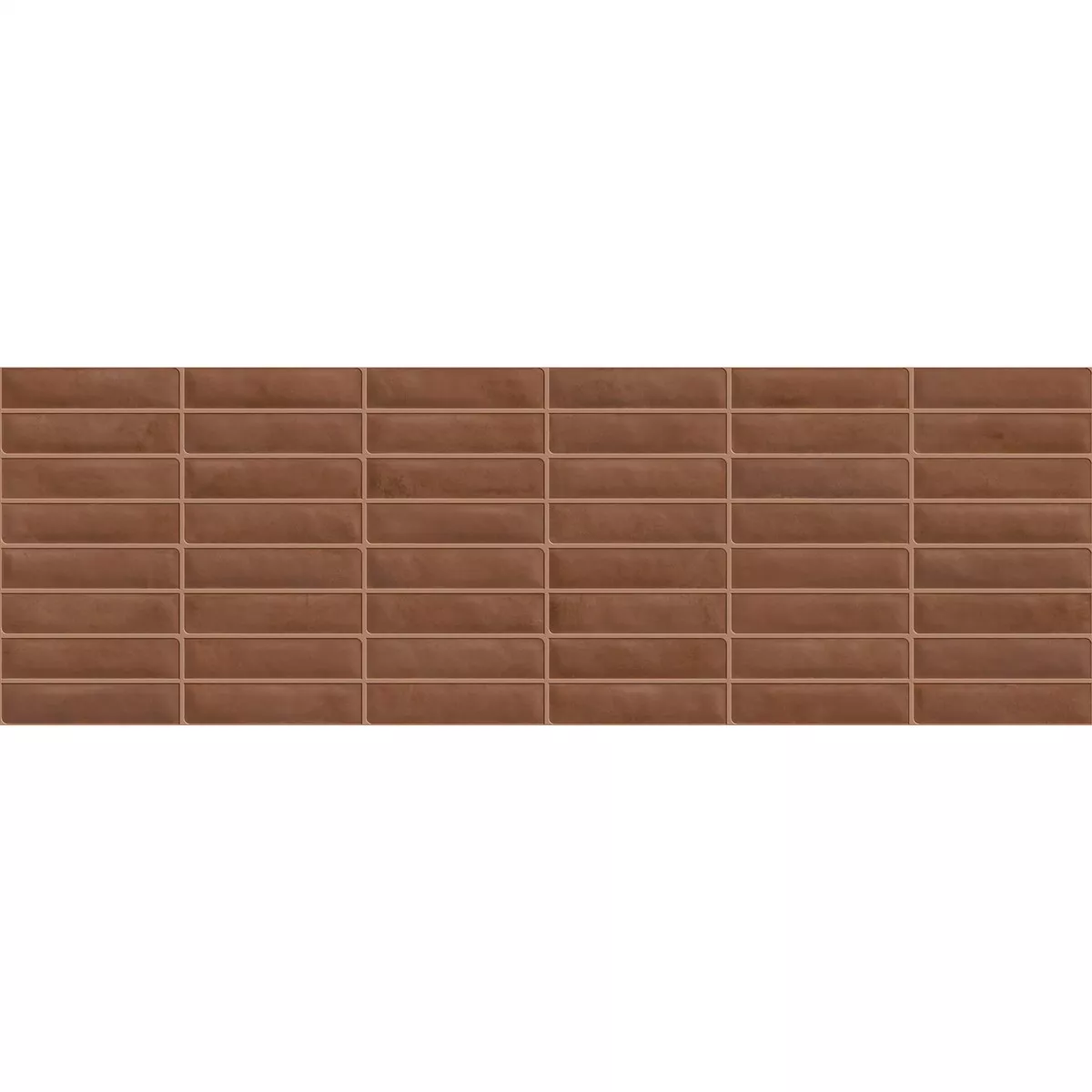 Ferrum Cotto Brillant 24x74 cm