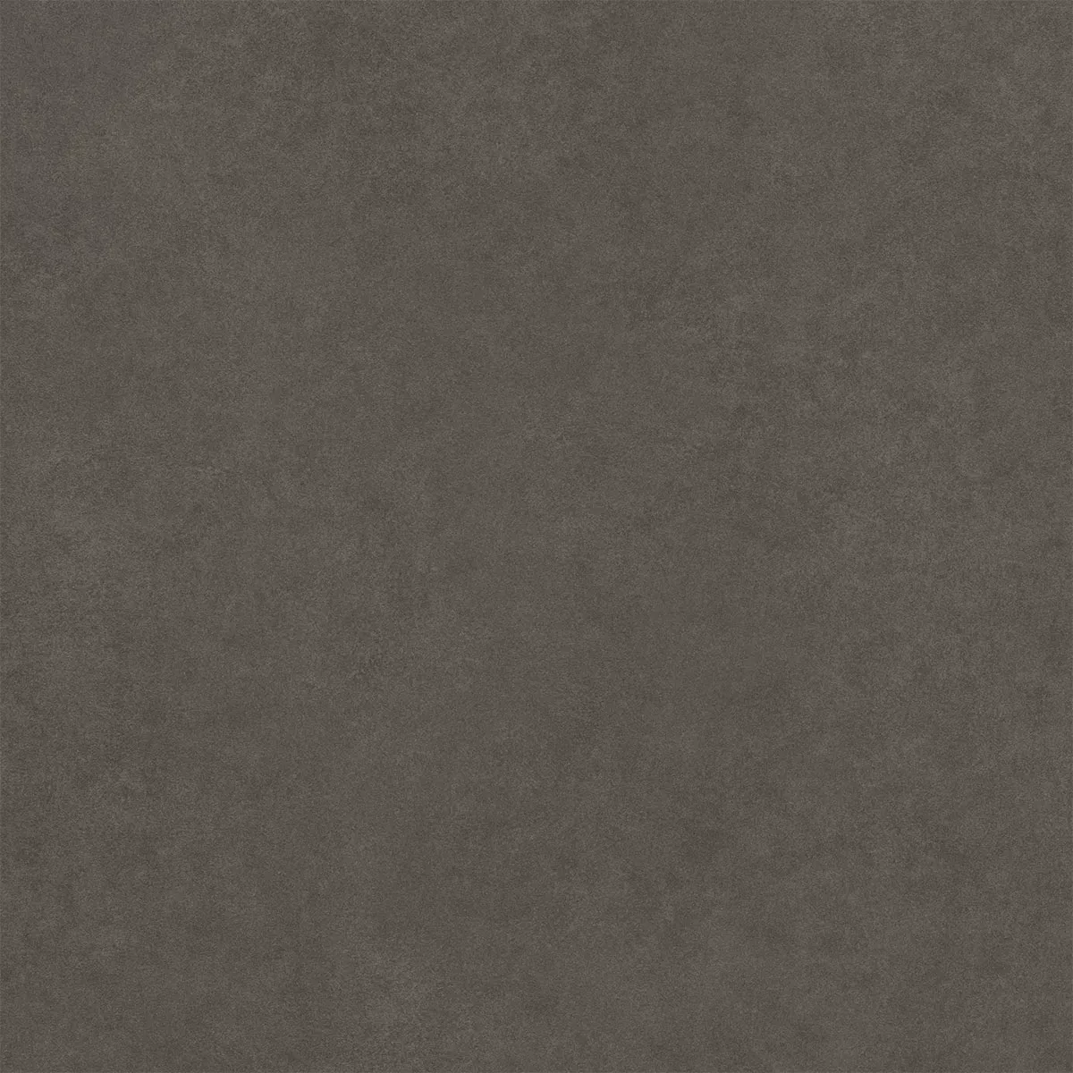 Kolossal Anthracite 60x60 cm