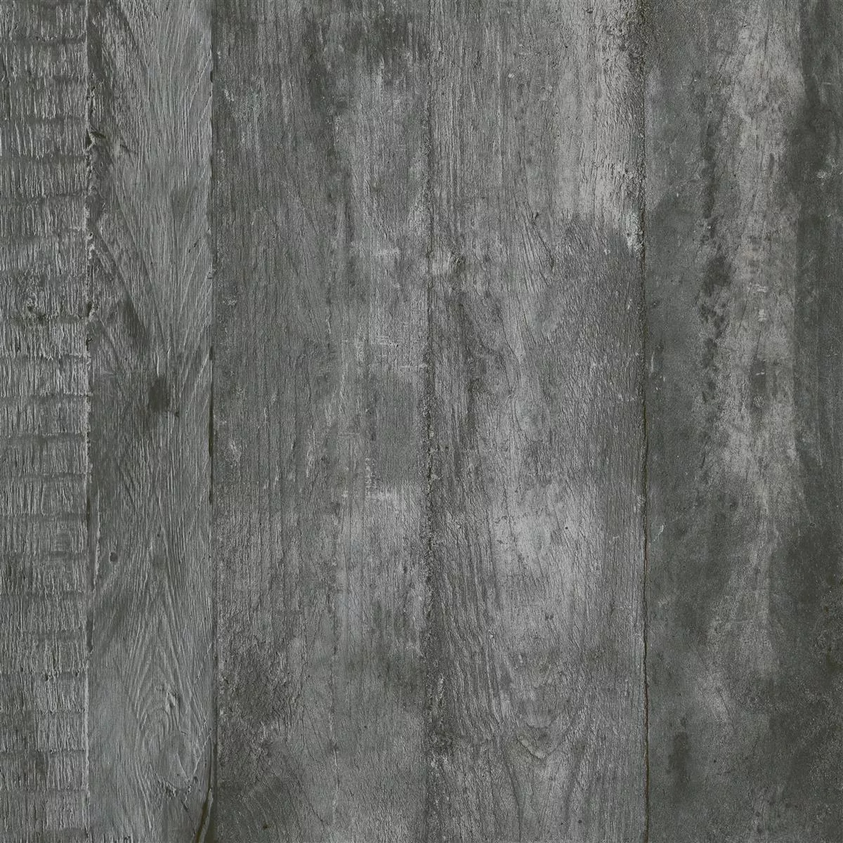 Échantillon Carrelage Sol Et Mur Gorki Imitation Bois 60x60cm Vitré Graphit