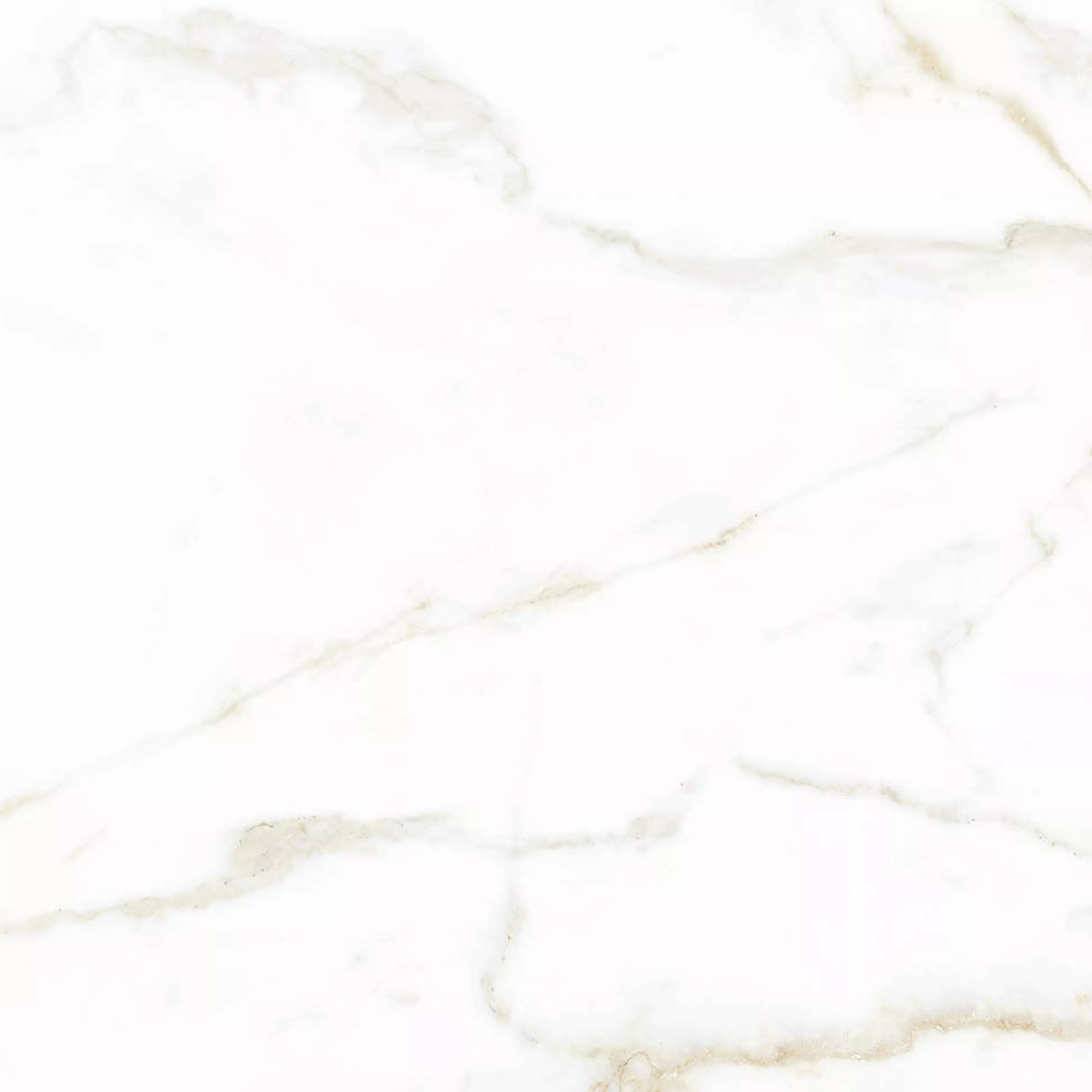 Vloertegels Arcadia Marmerlook Mat Goud 60x60cm Vloertegels Arcadia Marmerlook Mat Goud 60x60cm