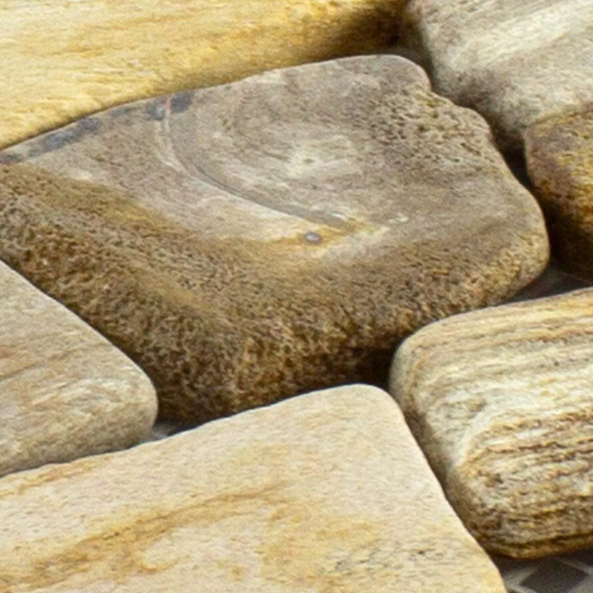 Sample Marmer gebroken Mozaïektegel Erdenet Bruin Beige