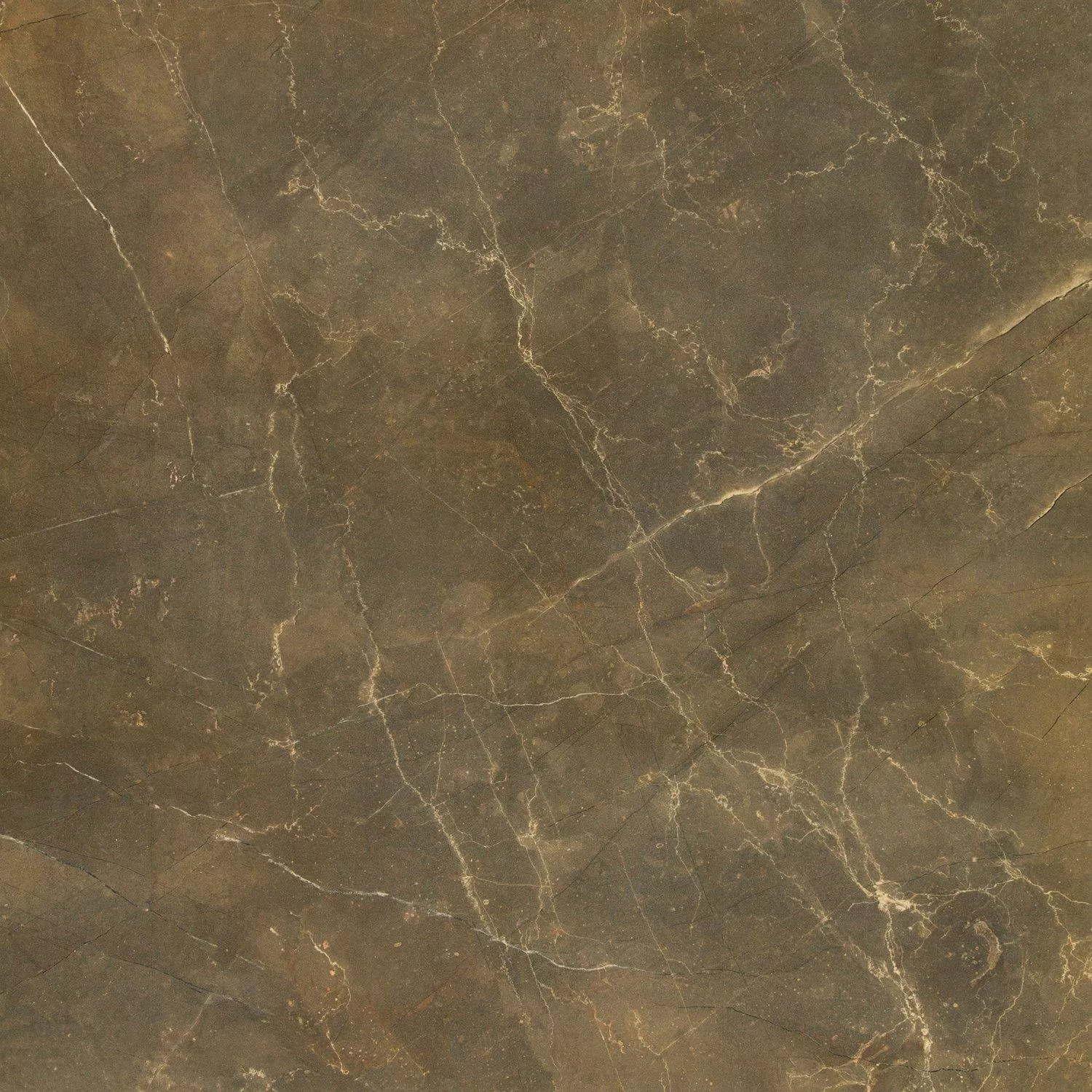 Vloertegels Marmerlook Imperial Khaki 80x80cm Vloertegels Marmerlook Imperial Khaki 80x80cm