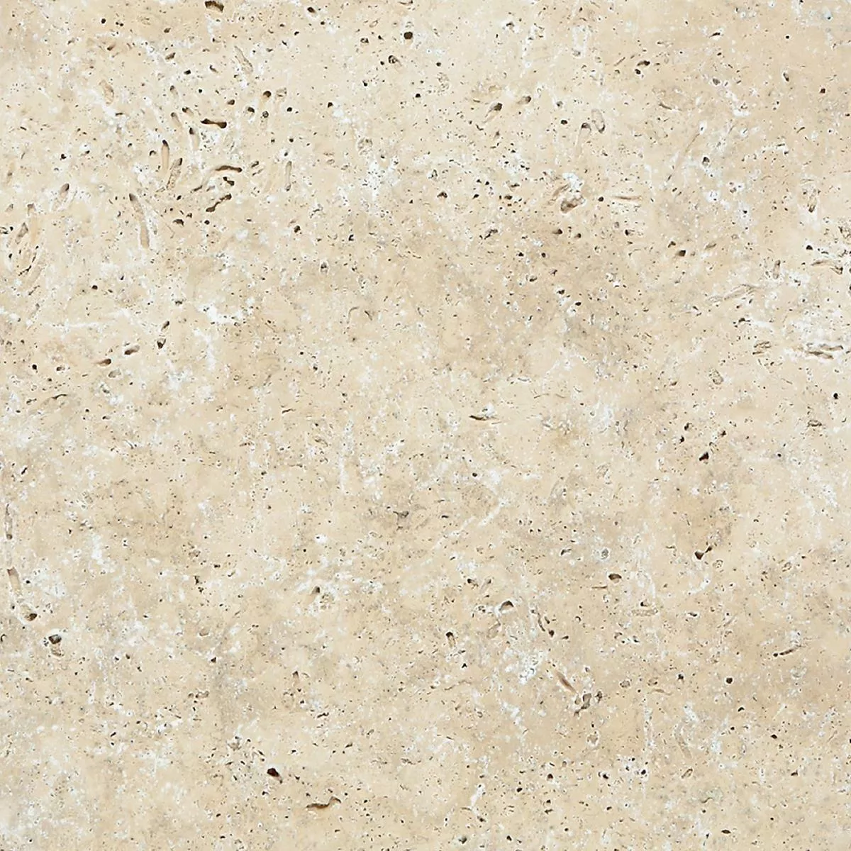 Échantillon Carreaux Pierre Naturelle Travertin Barga Beige 40,6x61cm