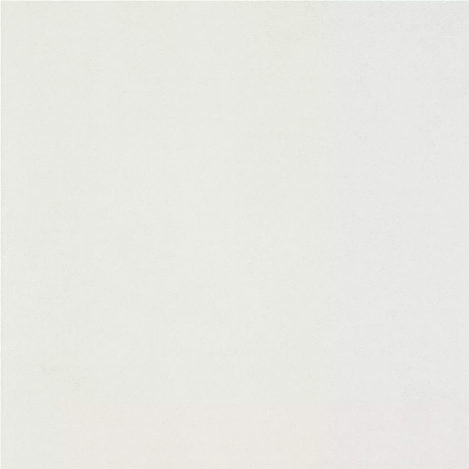 Carrelage Sol Et Mur Mainland Optique En Béton Poli Brillant 60x60cm Blanc