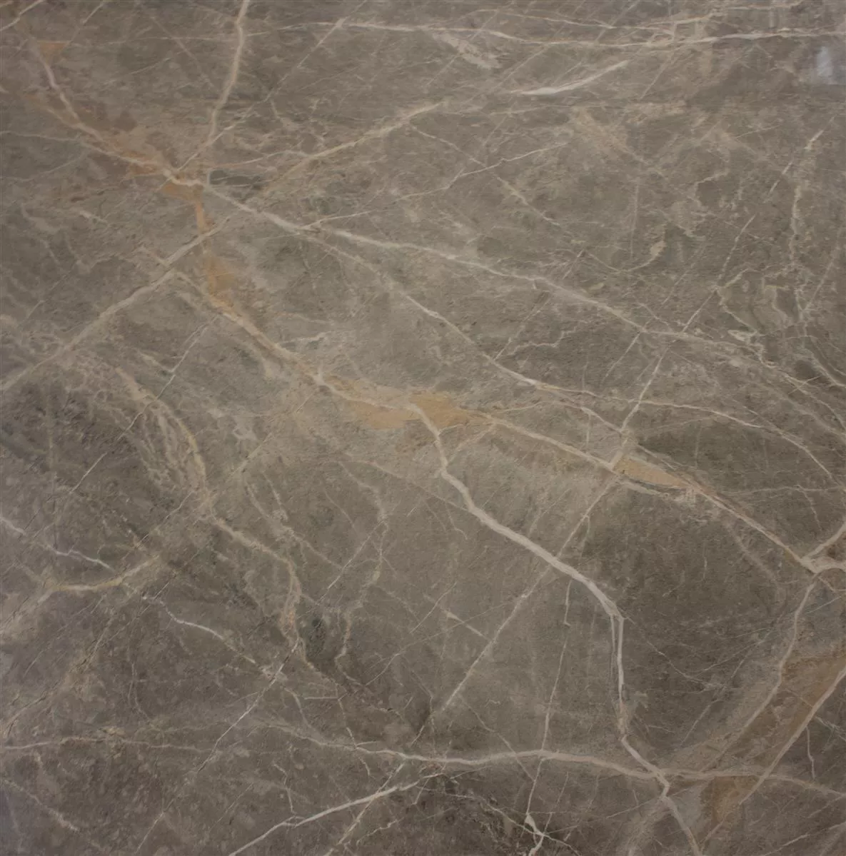 Vloertegels Zeven Grijs Beige Goud Leisteen Optiek 60x60cm
