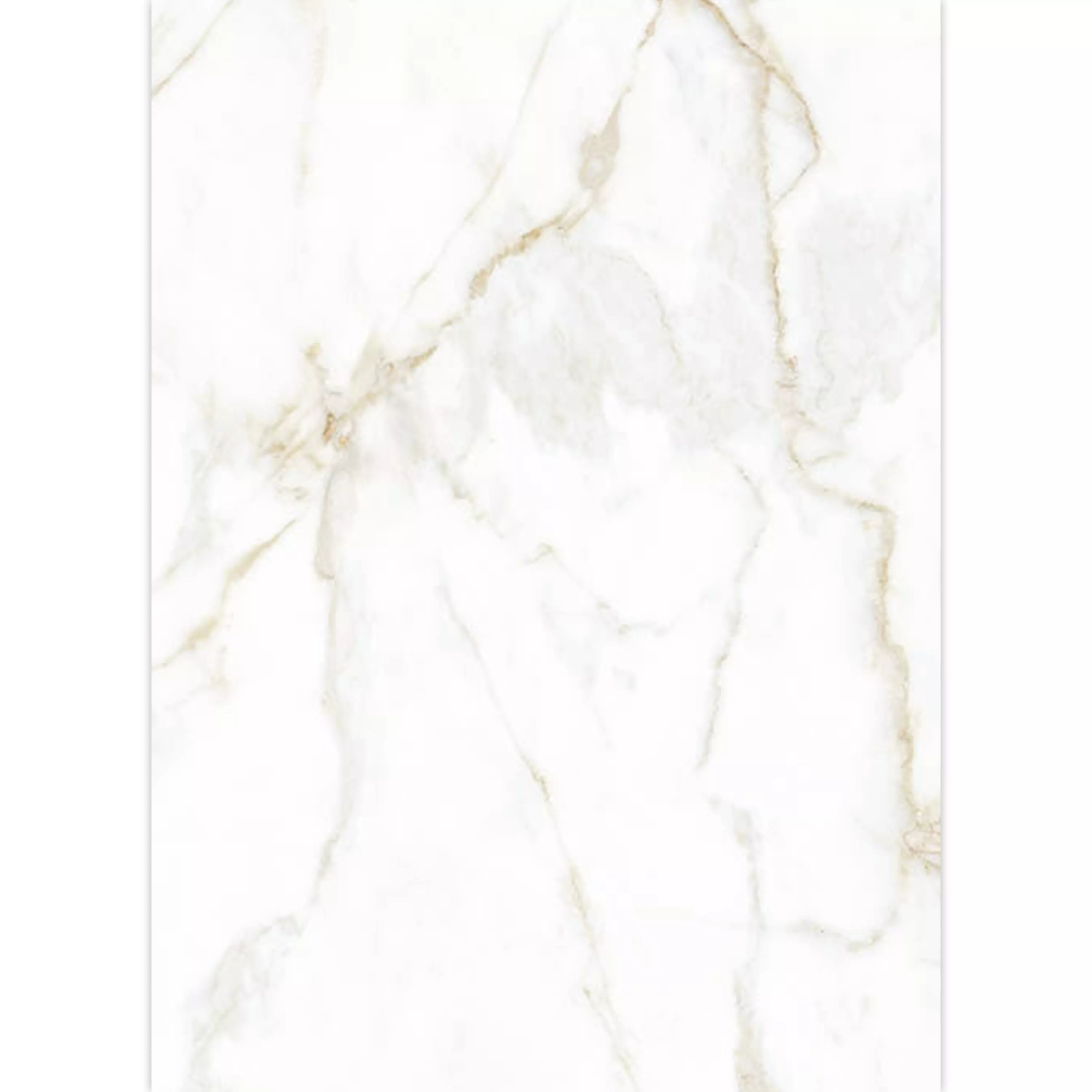 Vloertegels Arcadia Marmerlook Mat Goud 60x120cm Vloertegels Arcadia Marmerlook Mat Goud 60x120cm